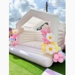 Big Bounce - Image 3